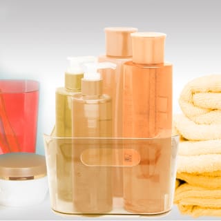 B&M Small Clear Storage Tub