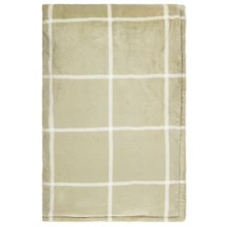  Winston Sage Check Sherpa Throw